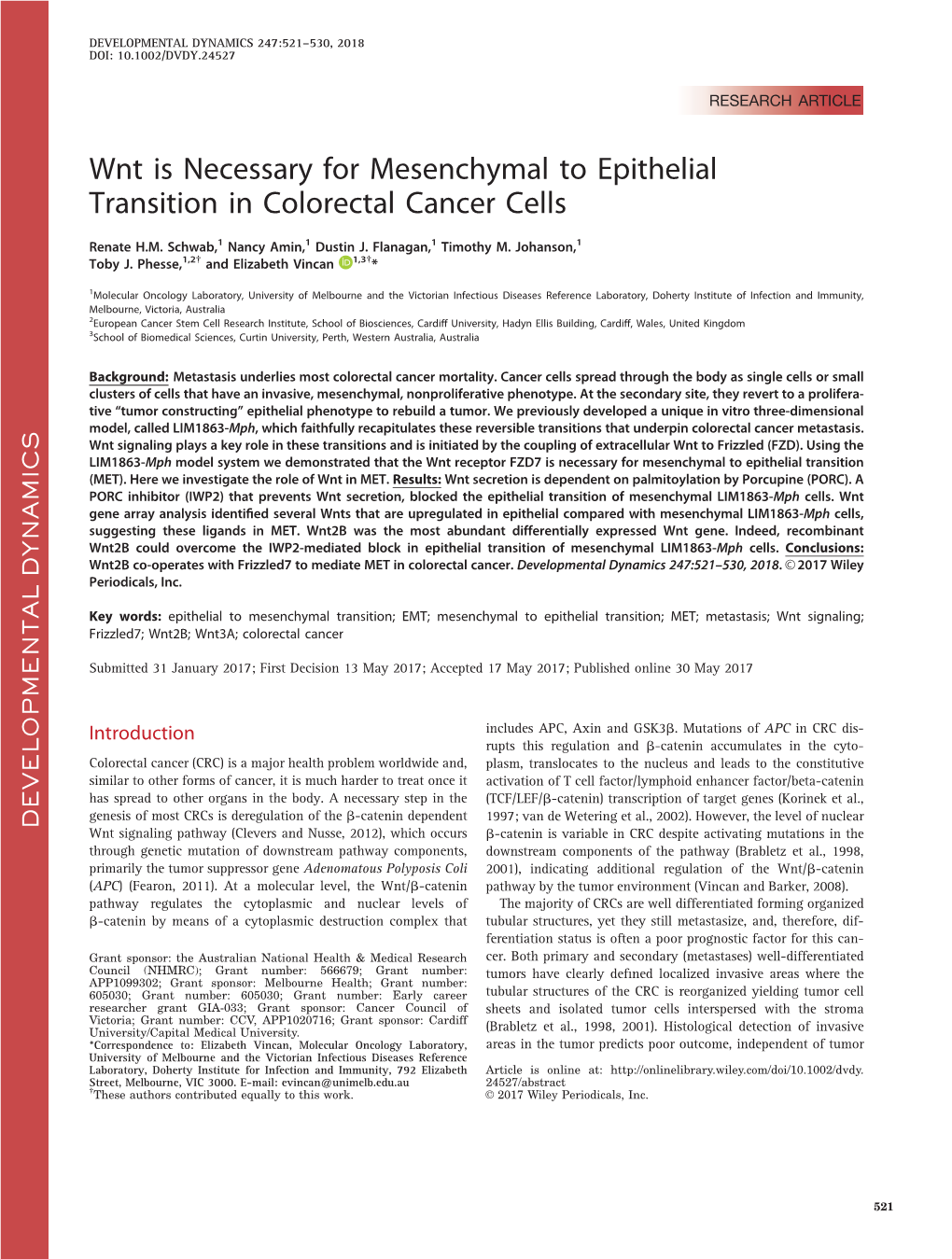 Wnt Is Necessary for Mesenchymal to Epithelial Transition in Colorectal Cancer Cells