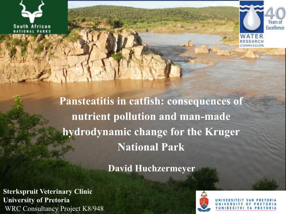 Pansteatitis in Catfish: Consequences of Nutrient Pollution and Man-Made Hydrodynamic Change for the Kruger National Park