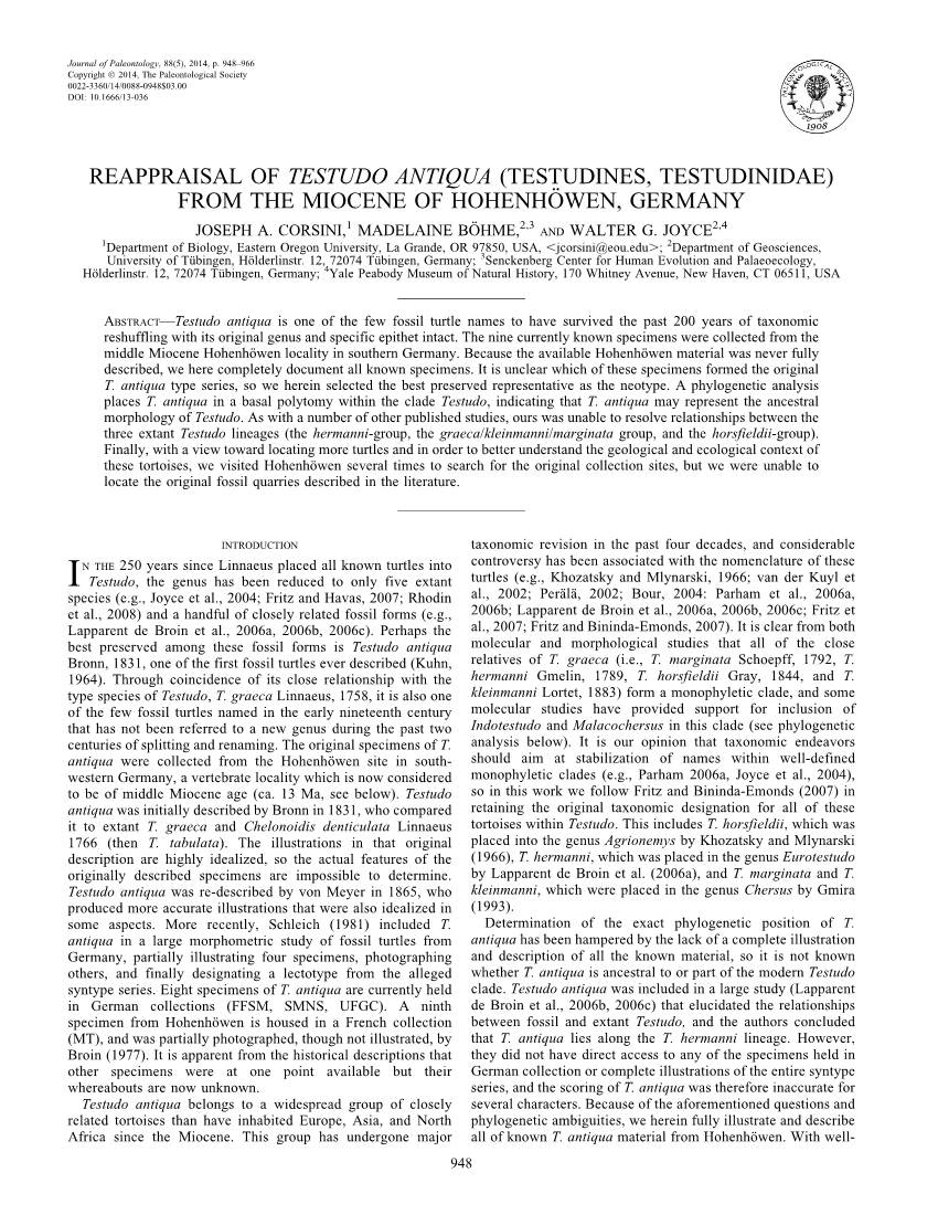 Reappraisal of Testudo Antiqua (Testudines, Testudinidae) from the Miocene of Hohenho¨ Wen, Germany 1 2,3 2,4 Joseph A