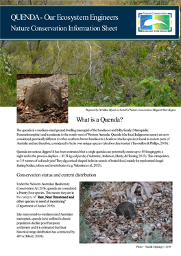 QUENDA - Our Ecosystem Engineers