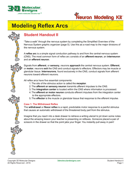 Modeling Reflex Arcs