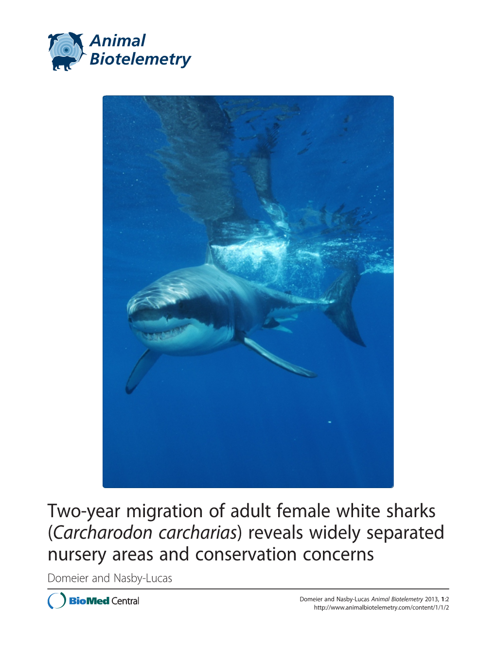 Two-Year Migration of Adult Female White Sharks (Carcharodon Carcharias) Reveals Widely Separated Nursery Areas and Conservation Concerns Domeier and Nasby-Lucas