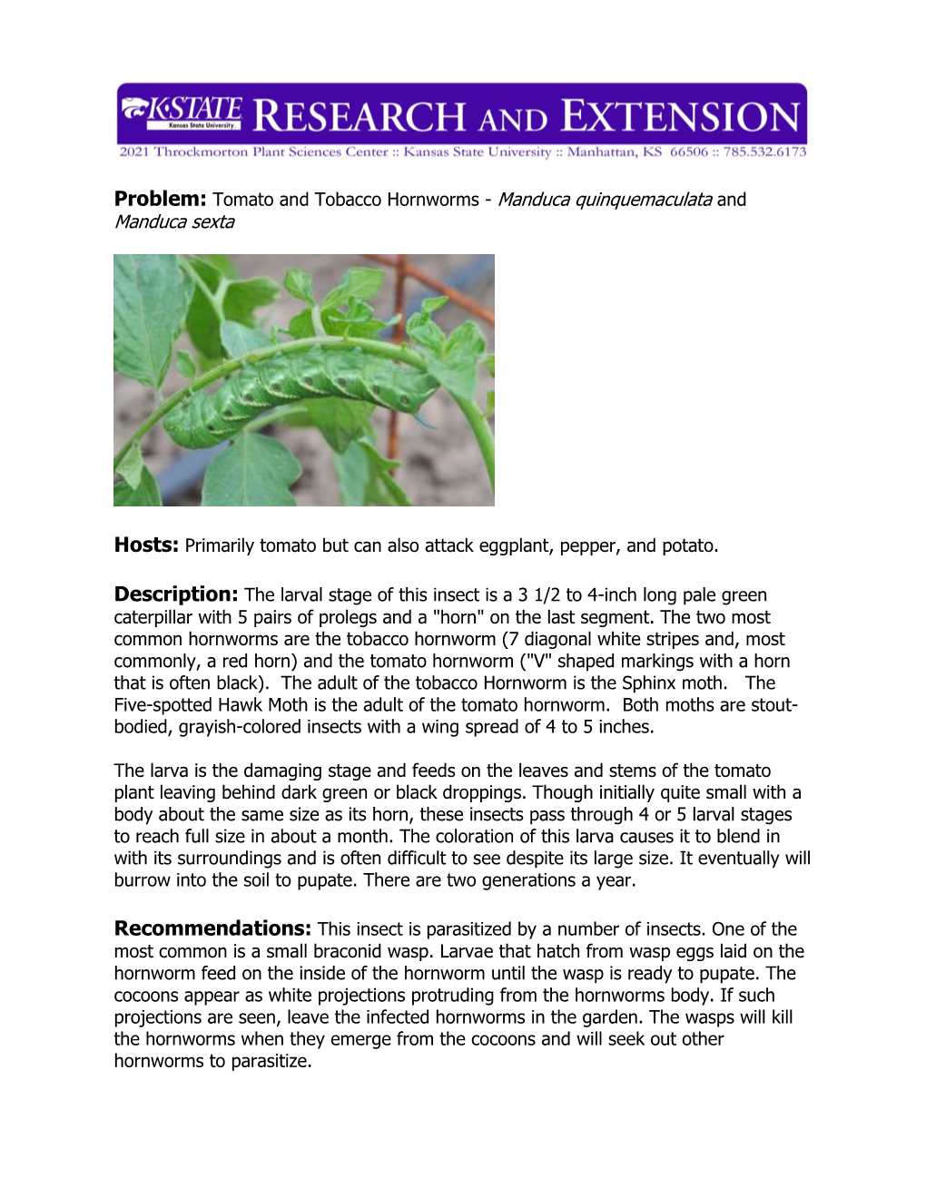 Problem: Tomato and Tobacco Hornworms - Manduca Quinquemaculata and Manduca Sexta
