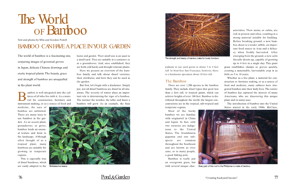 The World of Bamboo Is a Fascinating One, Home and Garden