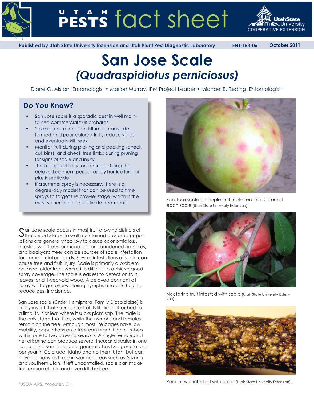 San Jose Scale (Quadraspidiotus Perniciosus) Diane G