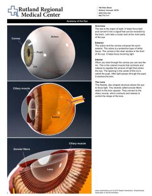 Sclera Iris Retina Pupil Lens Lens Ciliary Muscle Cornea Ciliary