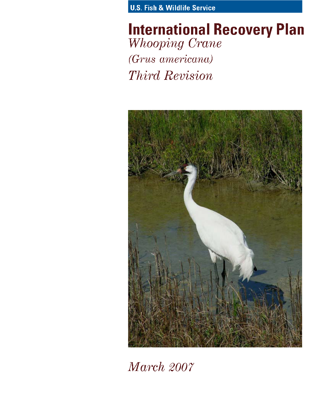 International Whooping Crane Recovery Plan for a 60-Day Review and Comment Period Ending on March 11, 2005