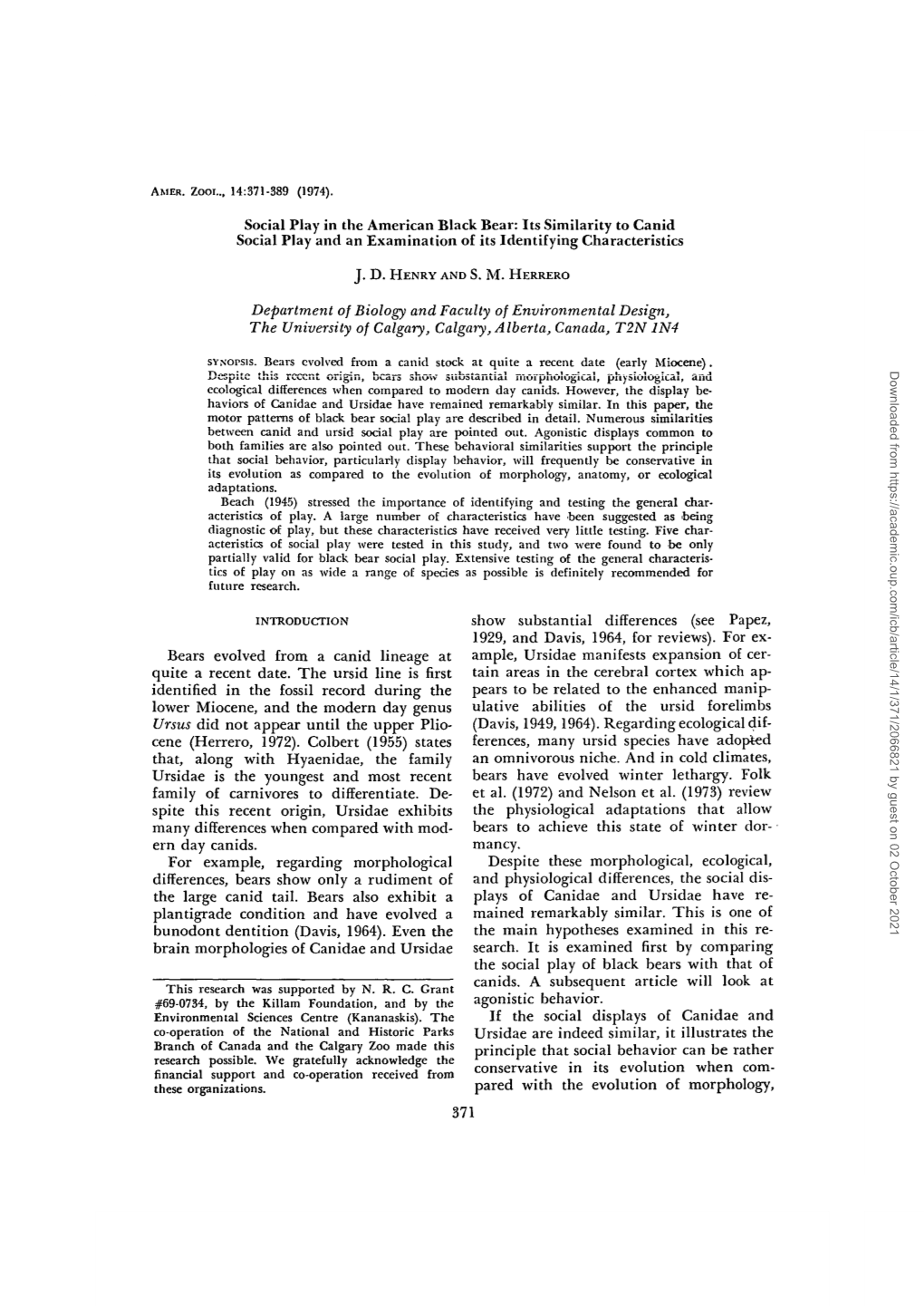 Social Play in the American Black Bear: Its Similarity to Canid Social Play and an Examination of Its Identifying Characteristics