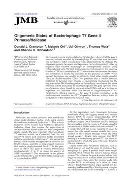 Oligomeric States of Bacteriophage T7 Gene 4 Primase/Helicase