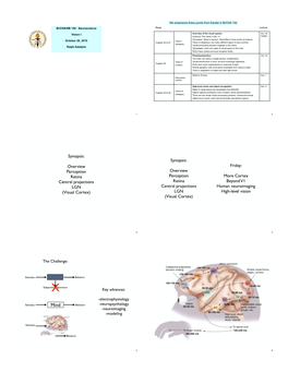 Synopsis: Overview Perception Retina Central Projections