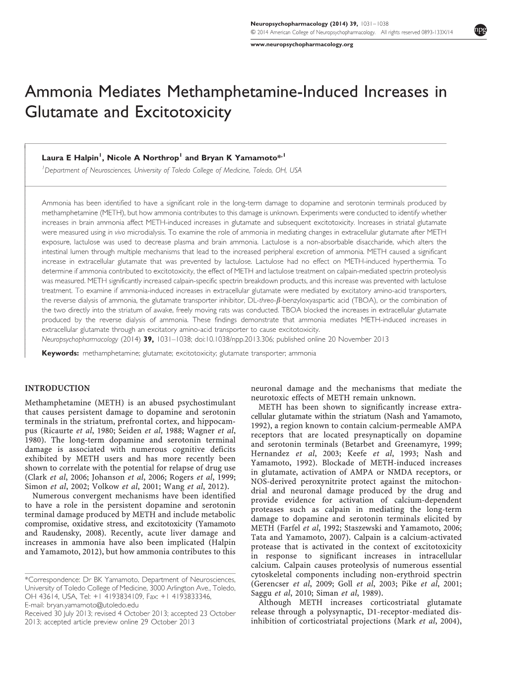 Ammonia Mediates Methamphetamine-Induced Increases in Glutamate and Excitotoxicity