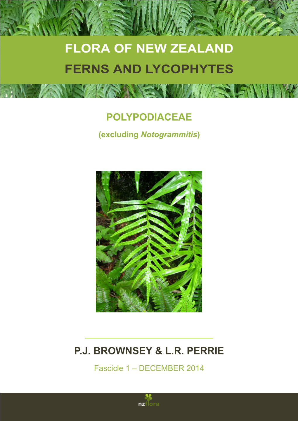 Flora of New Zealand Ferns and Lycophytes