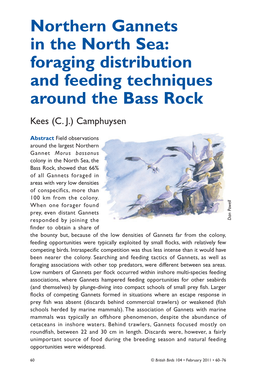 Northern Gannets in the North Sea: Foraging Distribution and Feeding Techniques Around the Bass Rock Kees (C