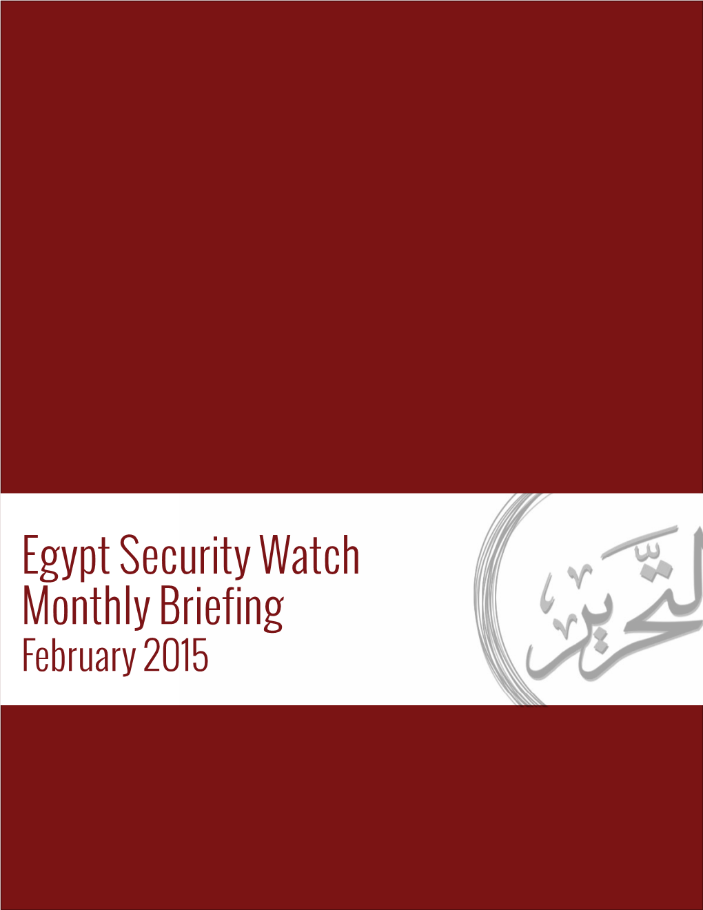 Egypt Security Watch Monthly Briefing February 2015 Summary