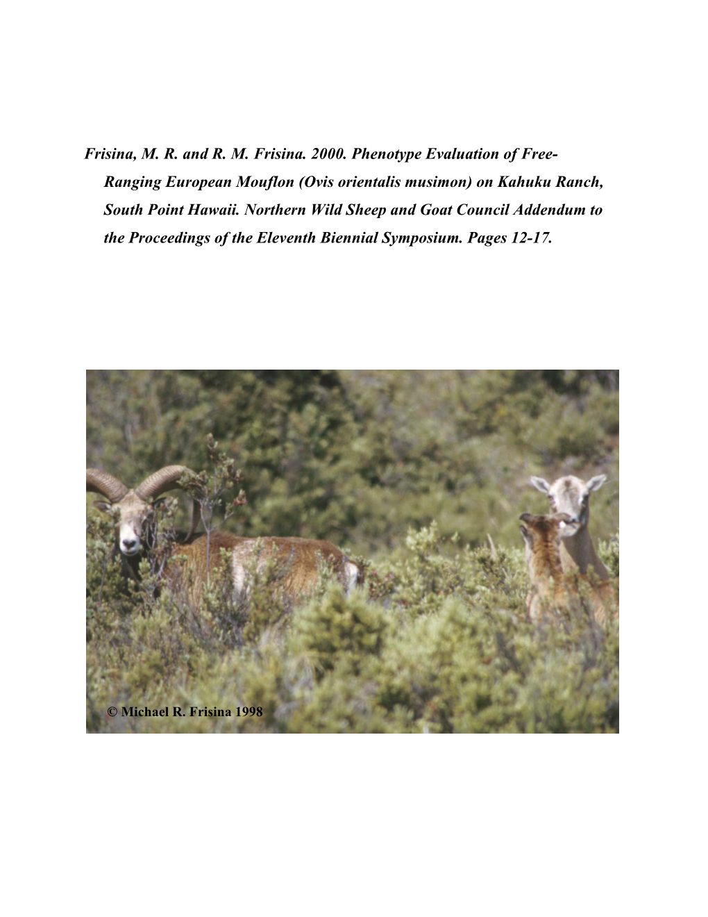 Phenotype Evaluation of Free-Ranging European Mouflon (Ovis Orientalis Musimon) on Kahuku Ranch, South Point Hawaii