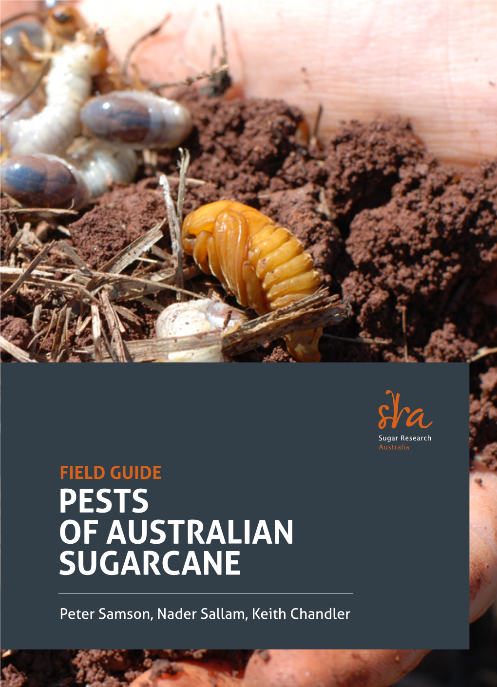 Pests of Australian Sugarcane