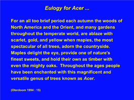 Eulogy for Acer