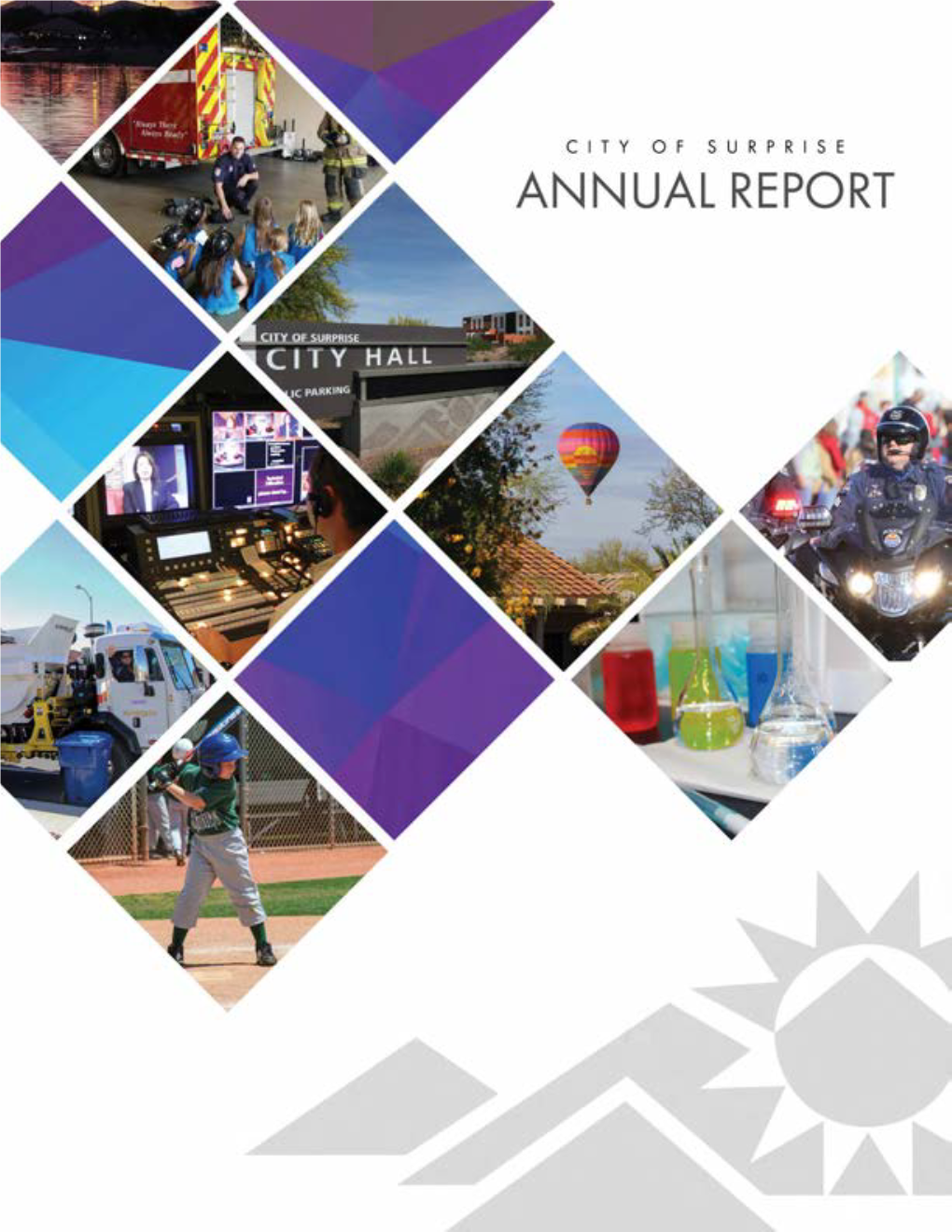 City of Surprise Annual Report 2019