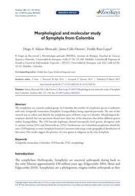 Morphological and Molecular Study of Symphyla from Colombia