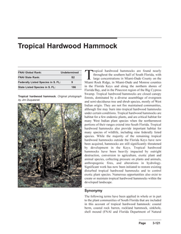 Tropical Hardwood Hammocks Are Found Nearly