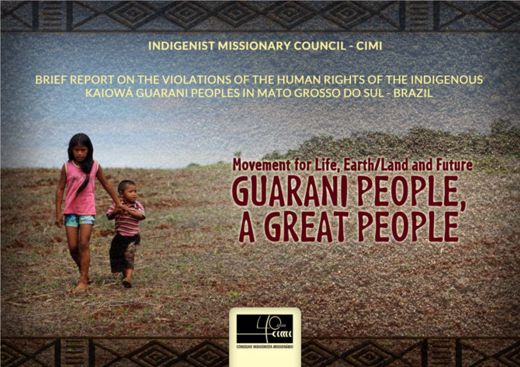 Report-On-The-Violations-Of-The-Human-Rights-Of-The-Indigenous-Kaiowá