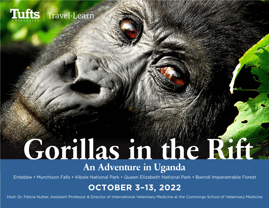 An Adventure in Uganda Entebbe • Murchison Falls • Kibale National Park • Queen Elizabeth National Park • Bwindi Impenetrable Forest OCTOBER 3–13, 2022 Host: Dr