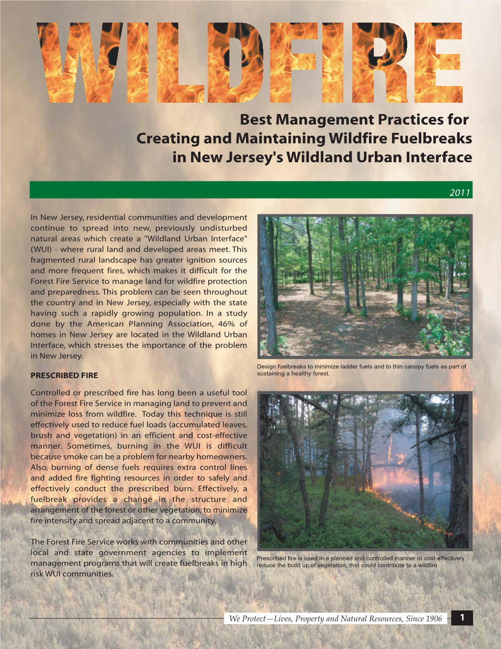 Best Management Practices for Creating and Maintaining Wildfire Fuelbreaks in New Jersey's Wildland Urban Interface