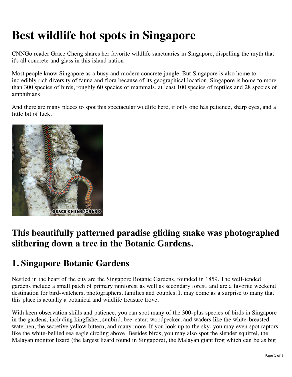 Best Wildlife Hot Spots in Singapore | Cnngo.Com