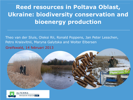 Biodiversity Conservation and Bioenergy Production