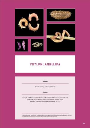 Phylum: Annelida