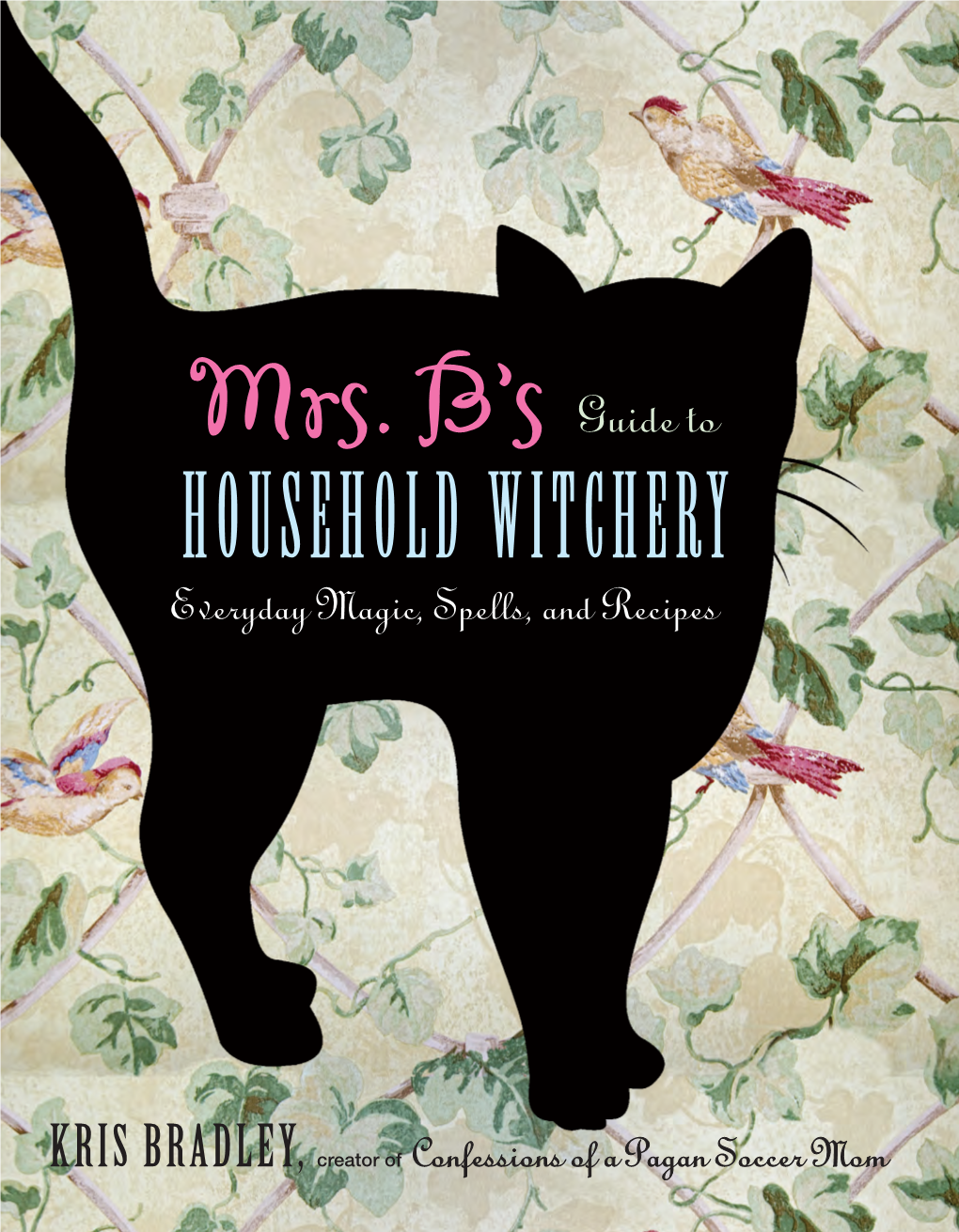 HOUSEHOLD WITCHERY Using Everyday Items and Ingredients, and Learn to Live Like a Domestic Witch! Everyday Magic, Spells, and Recipes