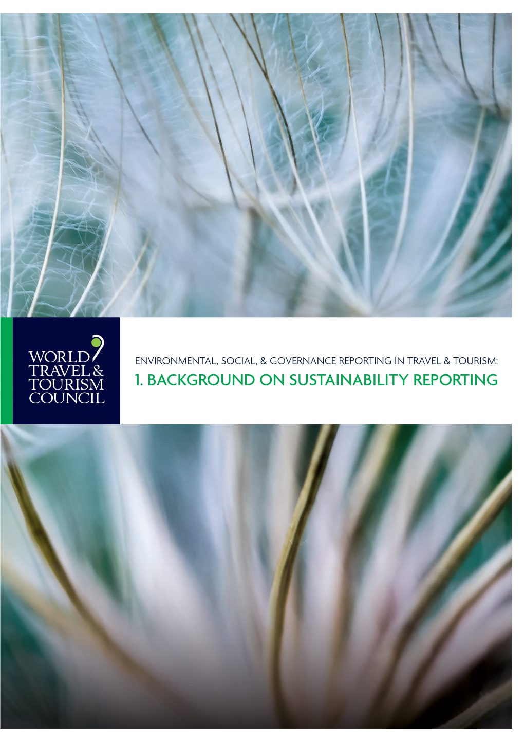 1. Background on Sustainability Reporting 2 Environmental, Social & Governance Reporting in Travel & Tourism Background on Sustainability Reporting 3