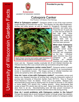 Cytospora Canker Brian Hudelson, UW-Madison Plant Pathology