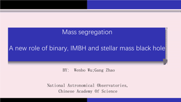 Mass Segregation a New Role of Binary, IMBH and Stellar Mass Black Hole