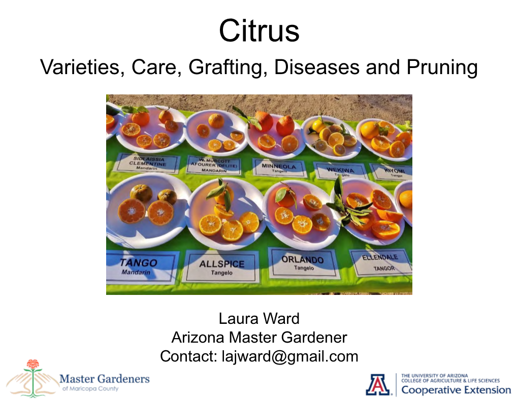 Citrus Varieties, Care, Grafting, Diseases and Pruning