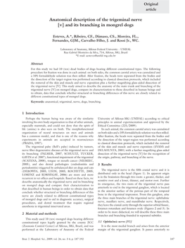 Anatomical Description of the Trigeminal Nerve [V] and Its Branching in Mongrel Dogs