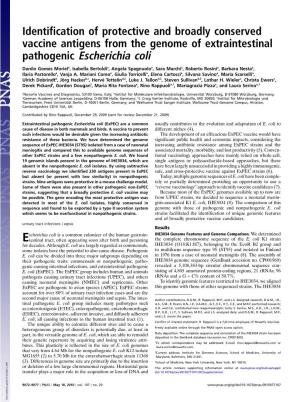 Pathogenic Escherichia Coli
