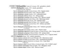 GENUS Bathygadus Gunther, 1878