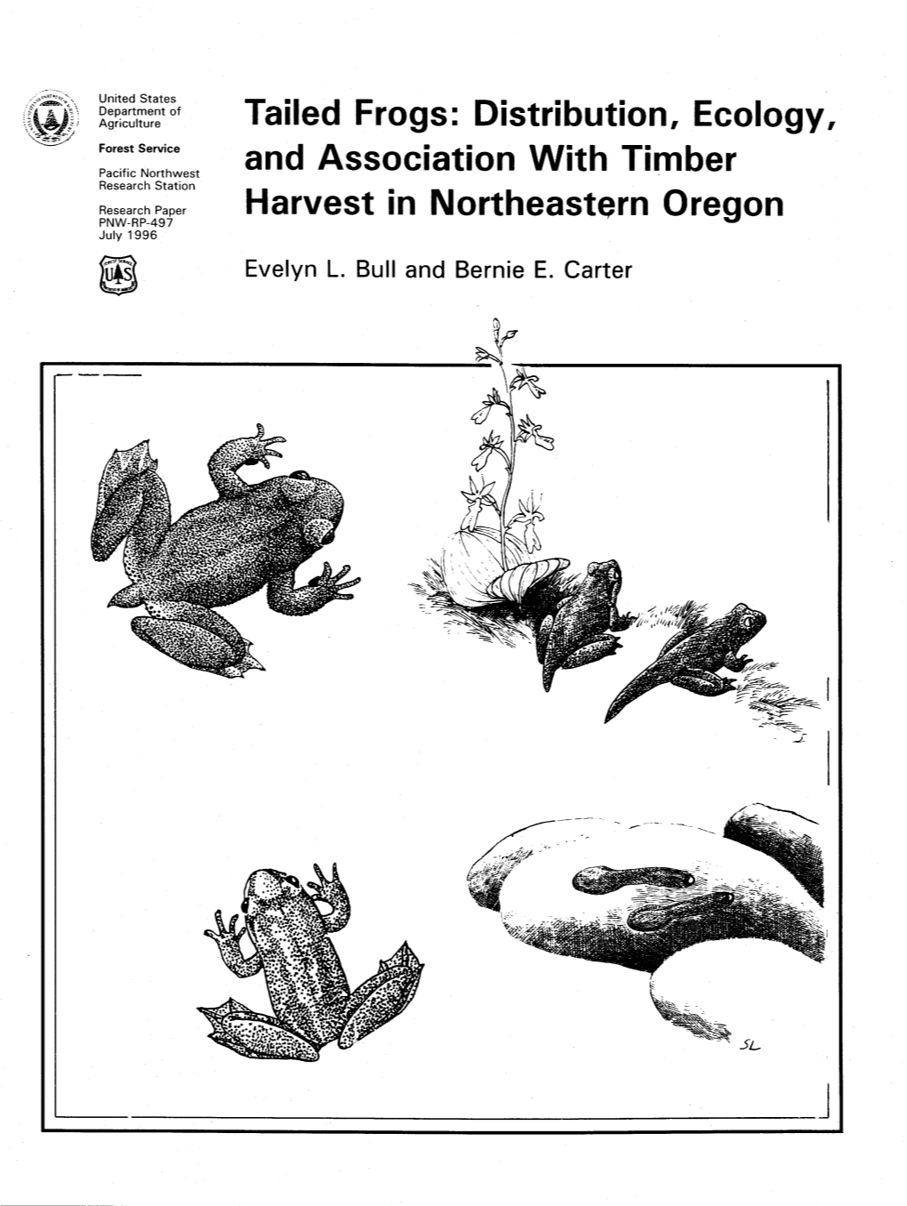 Tailed Frogs: Distribution, Ecology, Forest Service