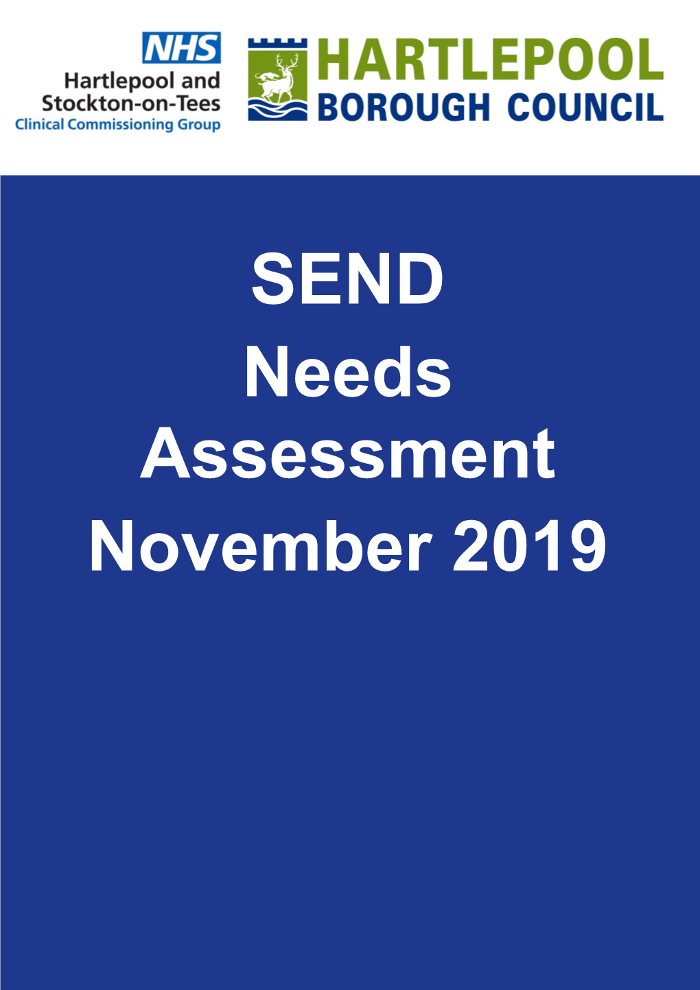 SEND Needs Assessment November 2019