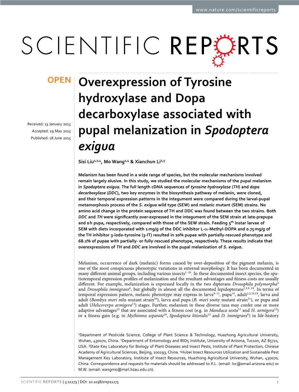 Overexpression of Tyrosine Hydroxylase and Dopa