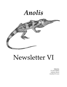 Anolis Newsletter VI