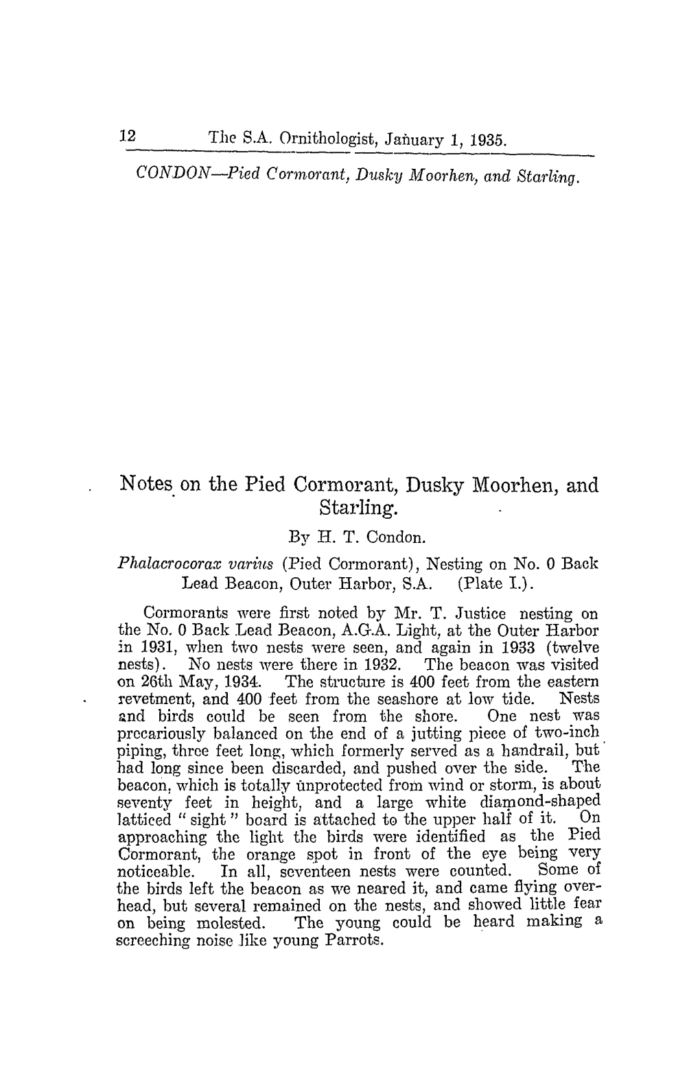 Notes on the Pied Cormorant, Dusky Moorhen, and . Starling. by H