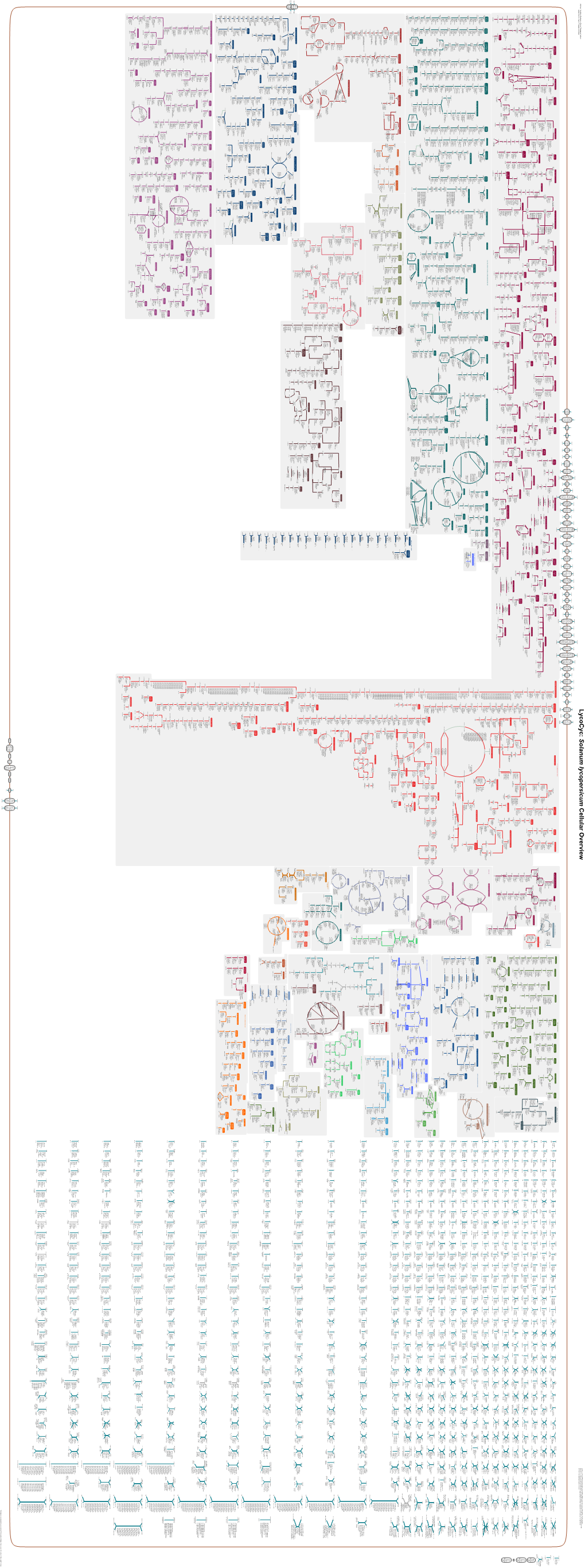 Generate Metabolic Map Poster