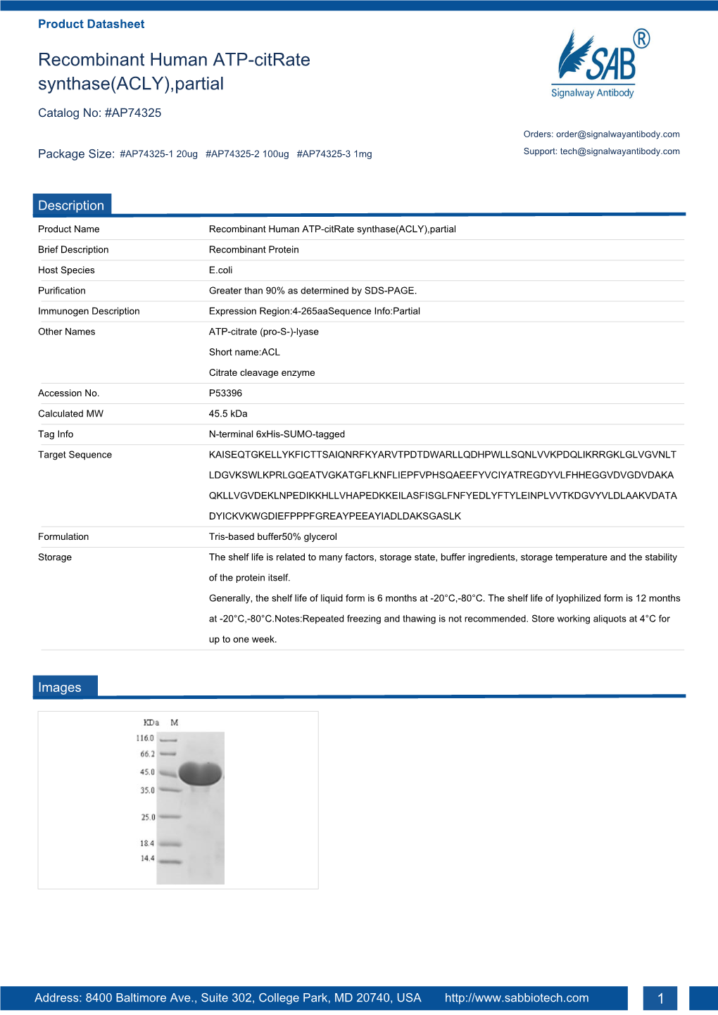 Recombinant Human ATP-Citrate Synthase(ACLY),Partial