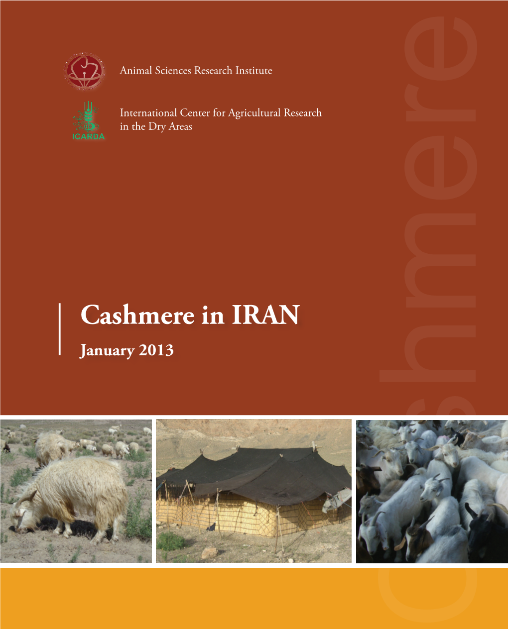 Cashmere in IRAN January 2013 Cashmere