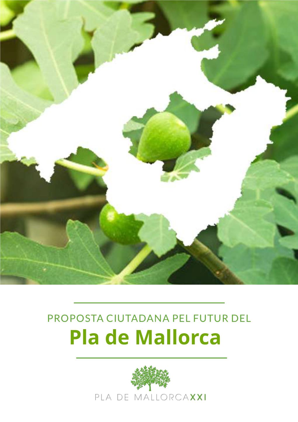 Una Proposta Pel Futur Del Pla De Mallorca