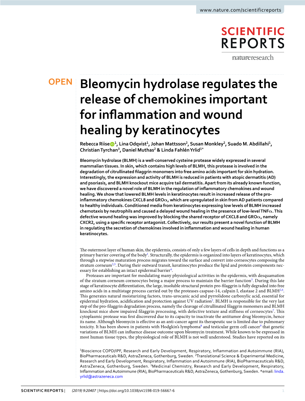 Bleomycin Hydrolase Regulates the Release of Chemokines Important For