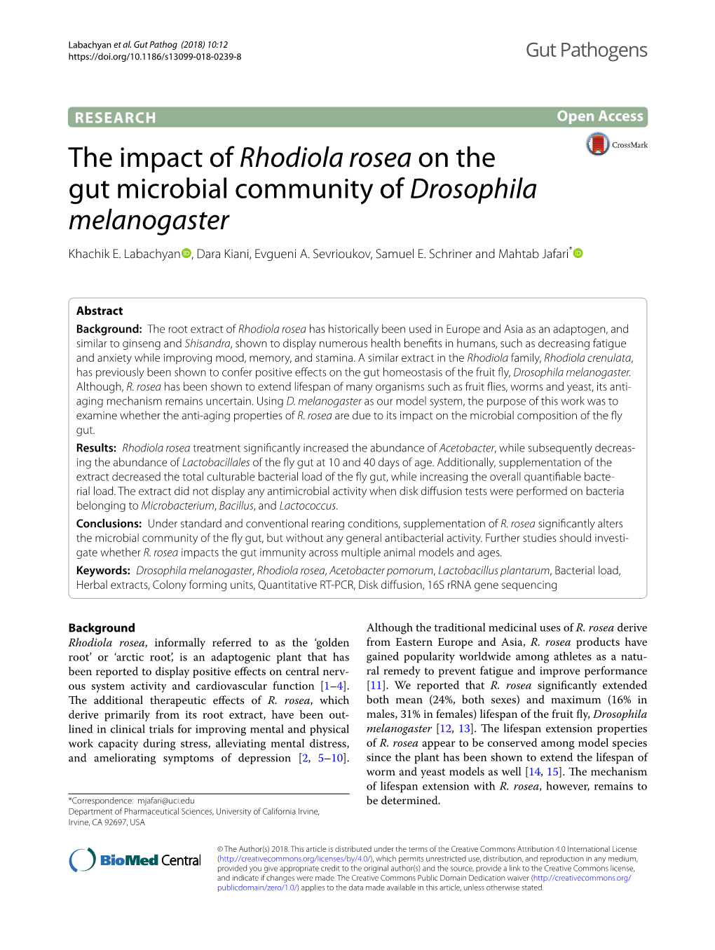 The Impact of Rhodiola Rosea on the Gut Microbial Community of Drosophila Melanogaster Khachik E