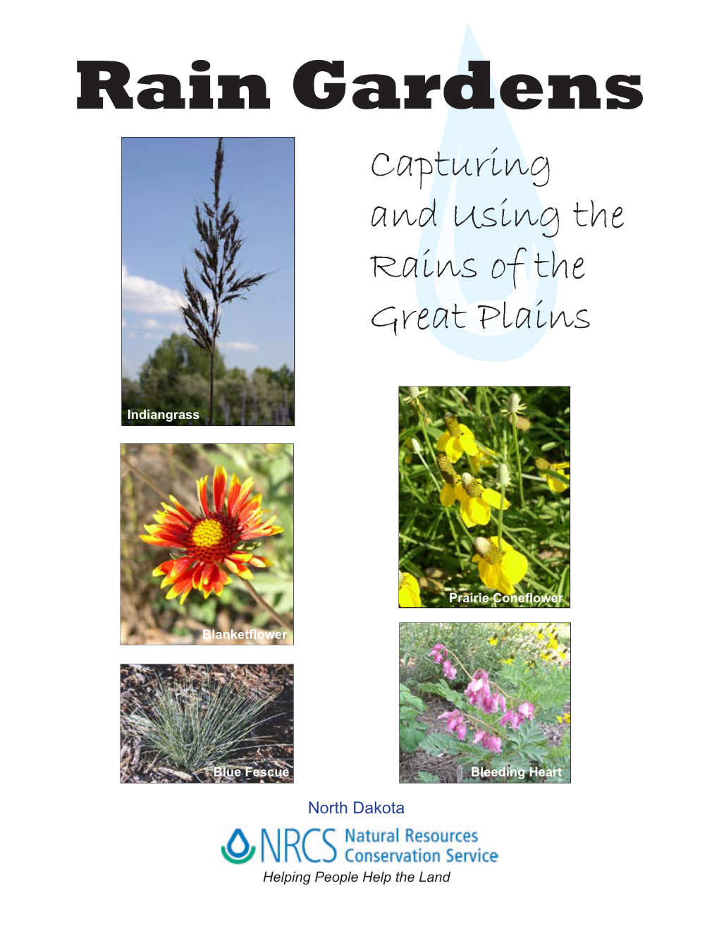Rain Gardens Capturing and Using the Rains of the Great Plains